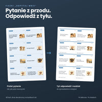 W pustyni i w puszczy: fiszki Odpytaj mnie, przód i tył